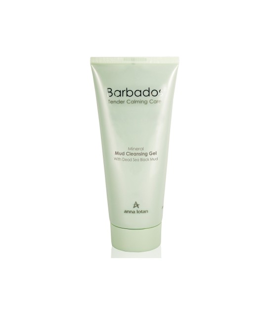 Mineral Mud Cleansing Gel 200ml